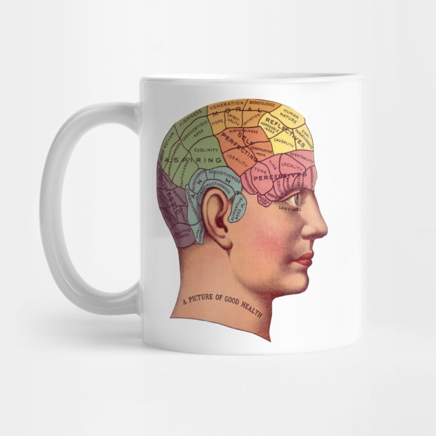 Colorful Retro Phrenology Head by RedThorThreads